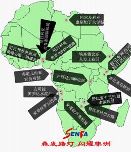 非洲部分業績